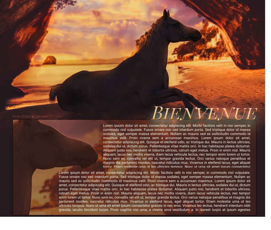 Fiche Cheval, par Galad-El