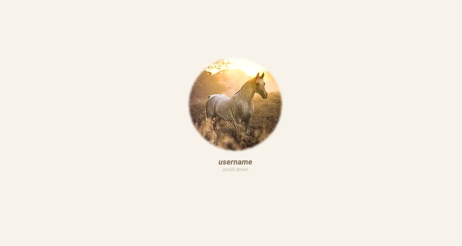 Cheval.6, par Shinohara