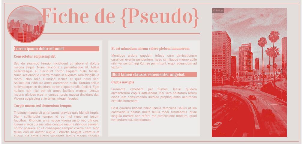 Pink City [fiche de présentation], par Milou