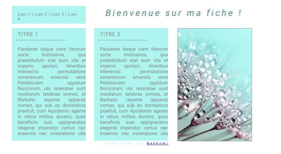 Fiche Equideow -- Turquoise et Pissenlit, par Nekkomi
