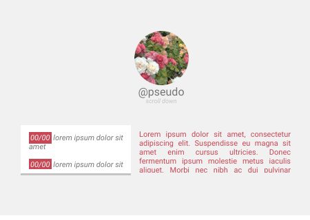 Fiche Equideow -- Fleurs, par Nekkomi