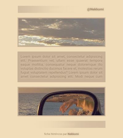 fiche ~ beige&marron, par Nekkomi