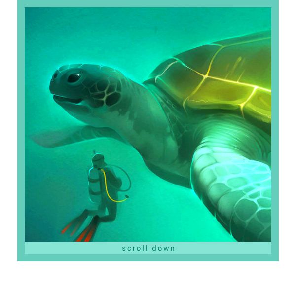 Reprise - fiche tortue, par Azelya