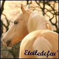 avatar de Etoiledefeu_77