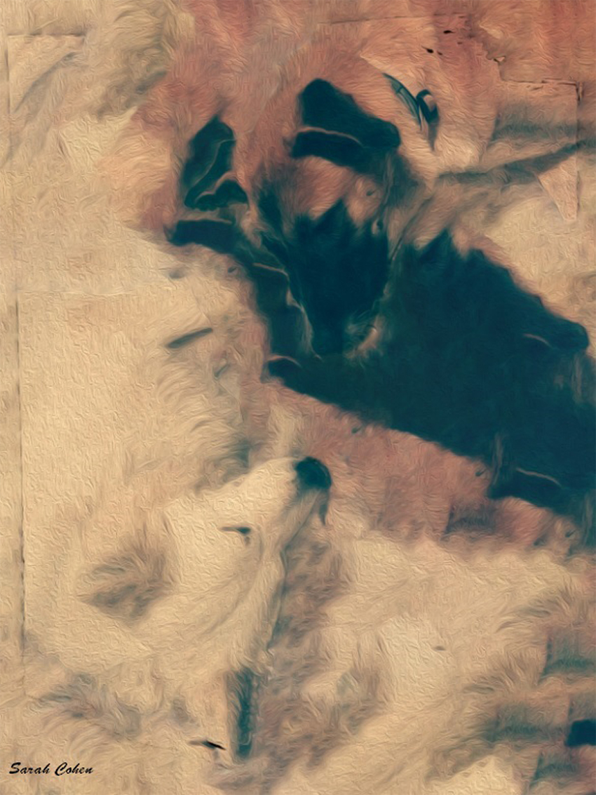 avatar de AnarælXIII