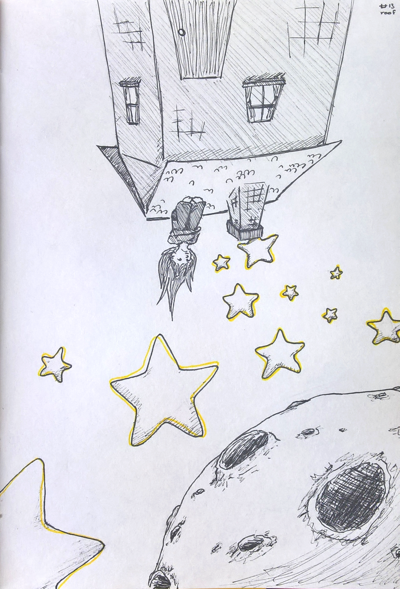 #13 roof, par Milou