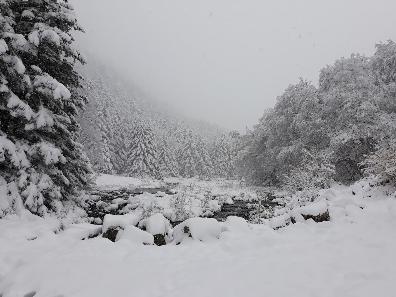 Ruisseau dans la neige, par Invoqueuse