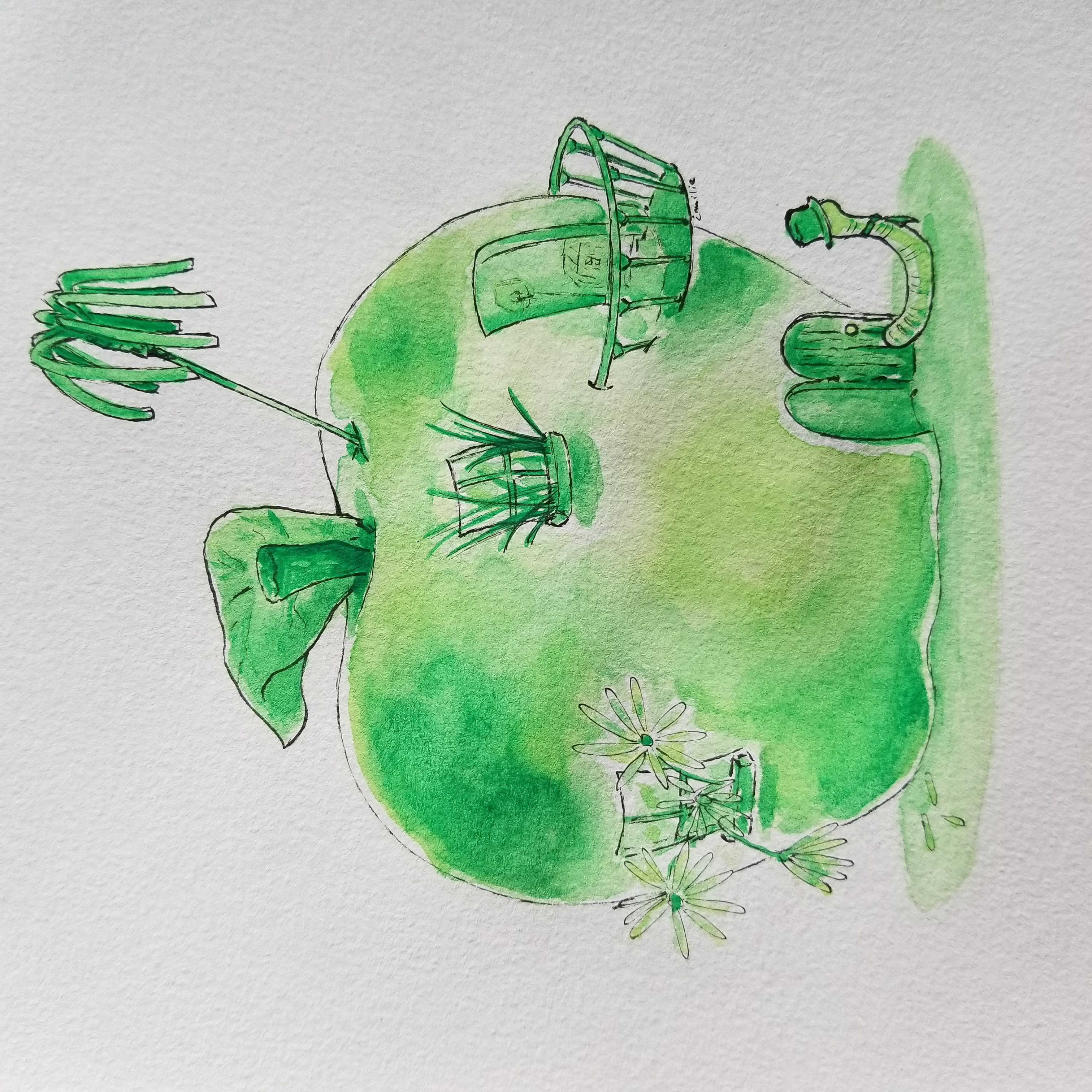 Pomme de Reinette, par Milou