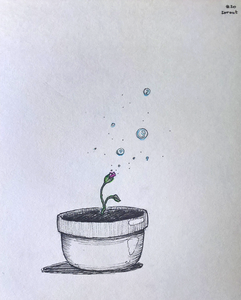 #20 sprout, par Milou