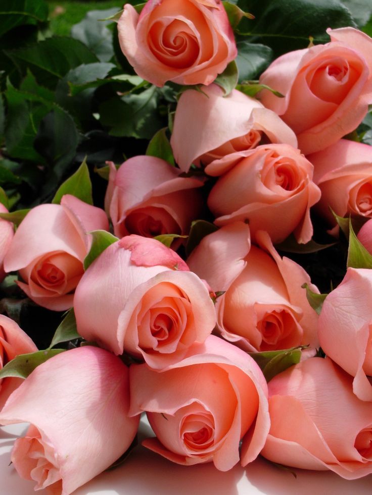 Flowers power, par •|Emmacoco|•