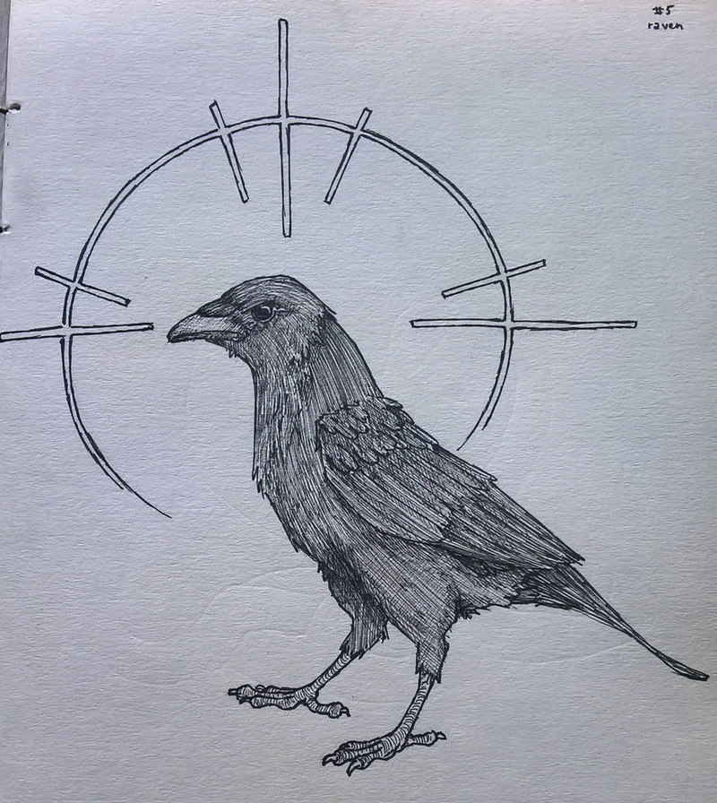 #5 raven, par Milou