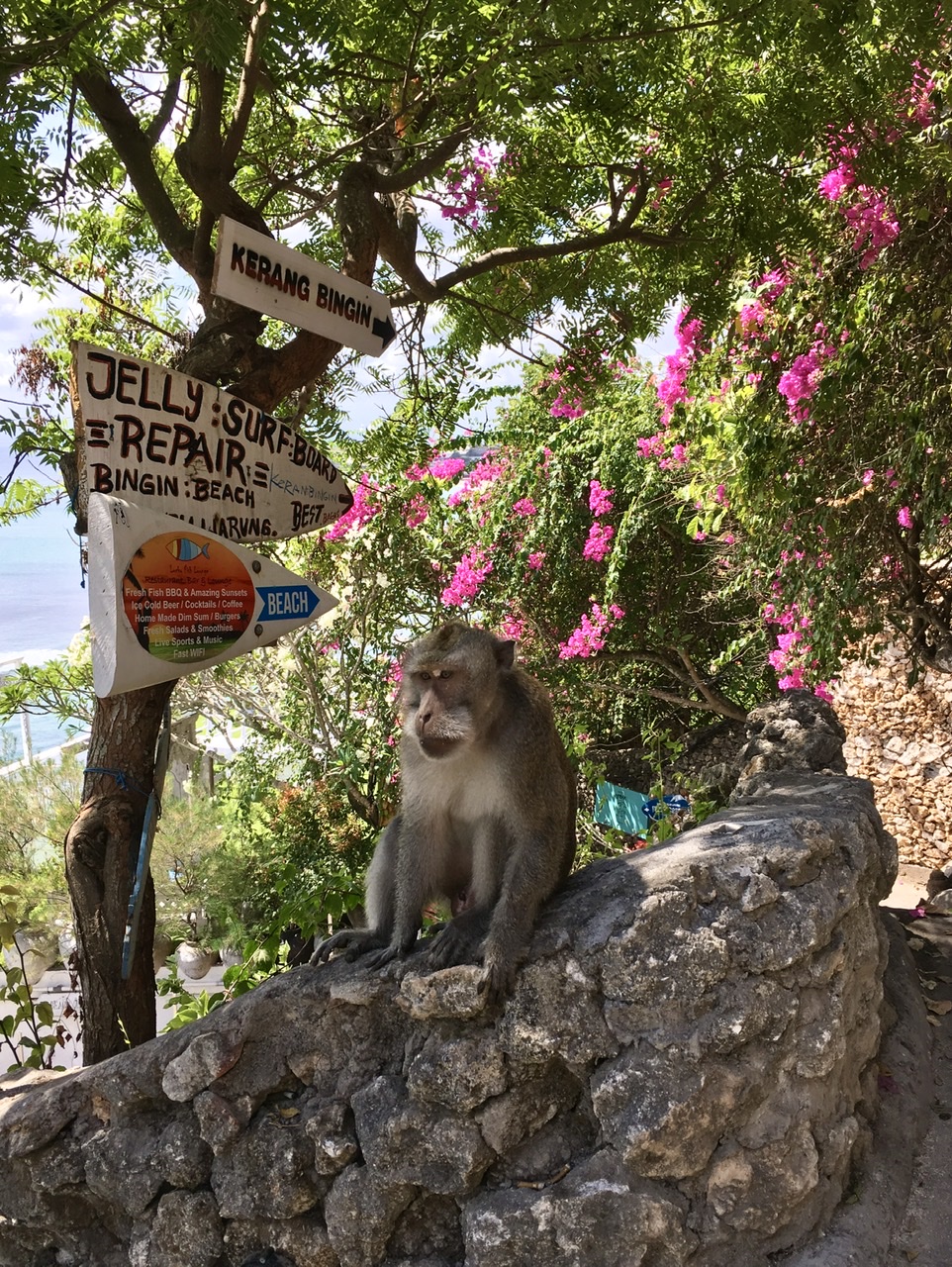 Bali, Indonésie, par Plume`