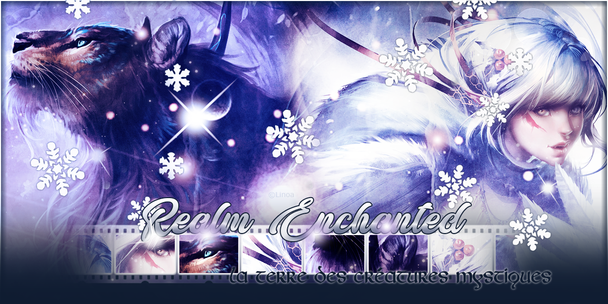 Bannière hivernale BIS Realm Enchanted 2019, par Linoa