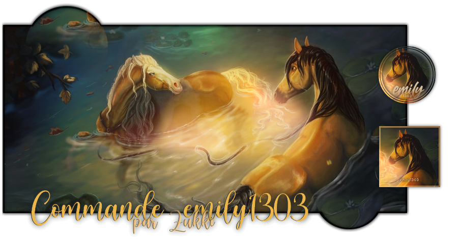 Commande Thème Spirit - emily1303, par Zukki