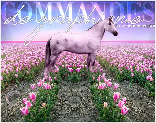 Pub commande 1, par emily1303