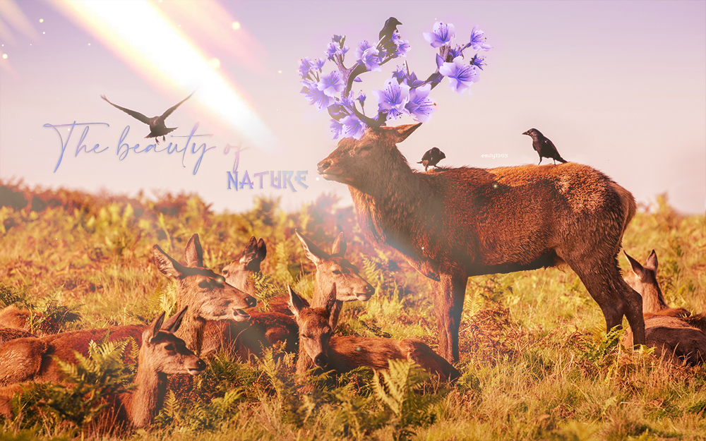 The beauty of Nature, par emily1303