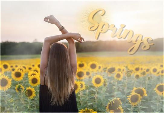 Springs, par Ollash