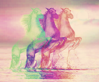 Three beautiful horse magic coulour, par Flowers