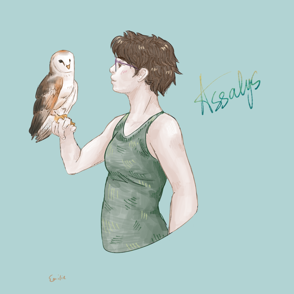 Assalys [Noël], par Milou