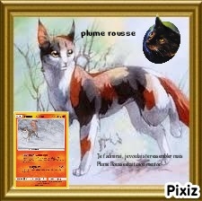 Plume, par plume rousse