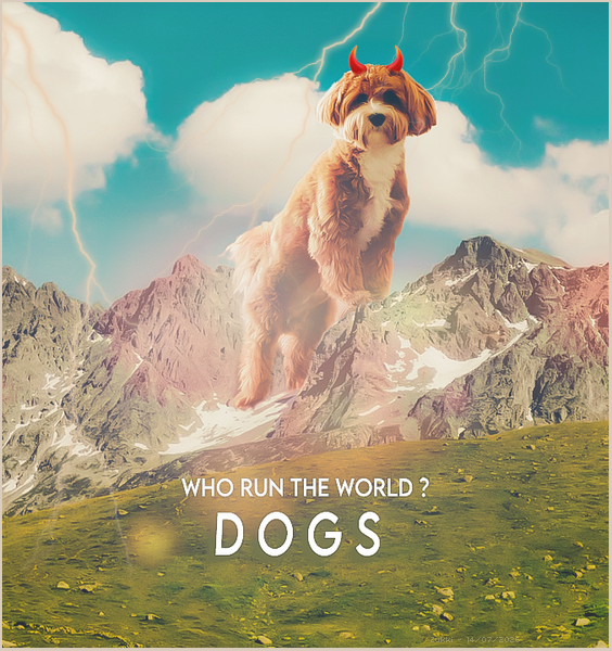 Who run the world ?, par Zukki