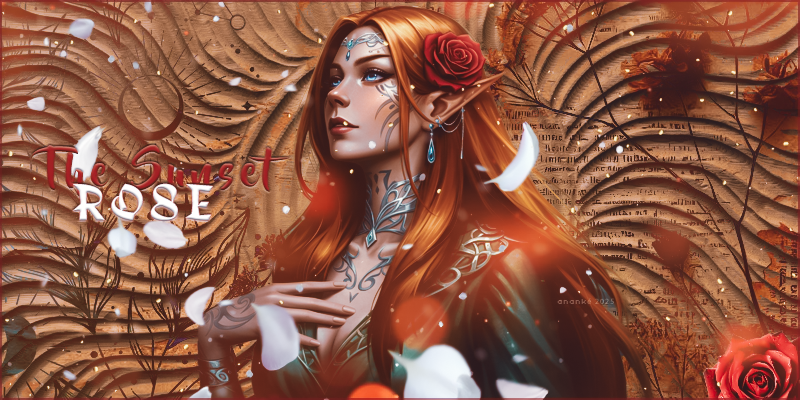 The sunset Rose, par Yamazakura
