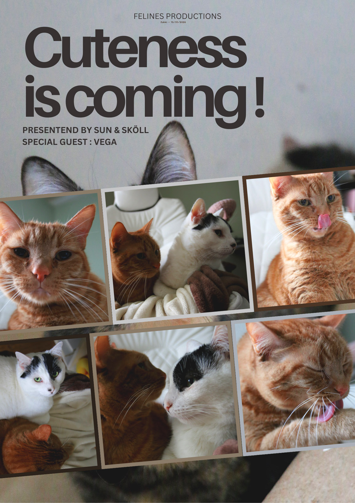 Cuteness is coming, par Zukki