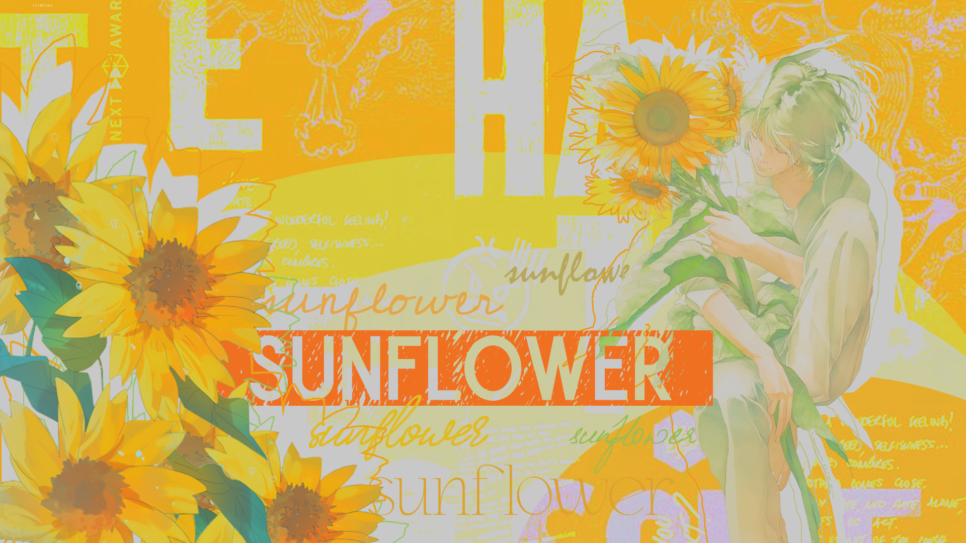 Sunflower wallpaper, par Milou