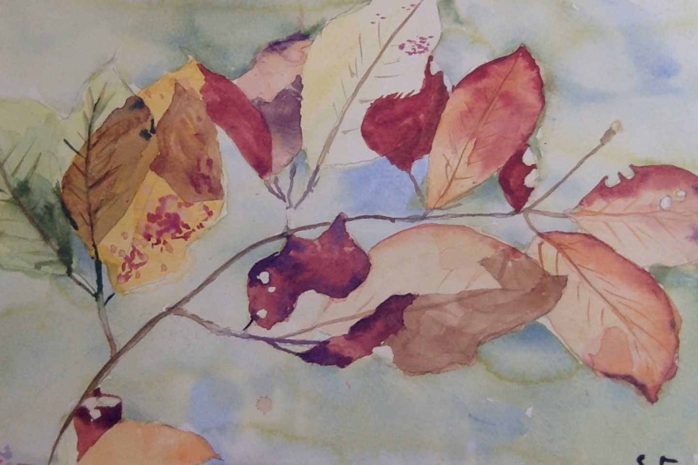 Feuilles d'automne, par Saso