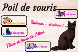 Poil de souris, par Saso