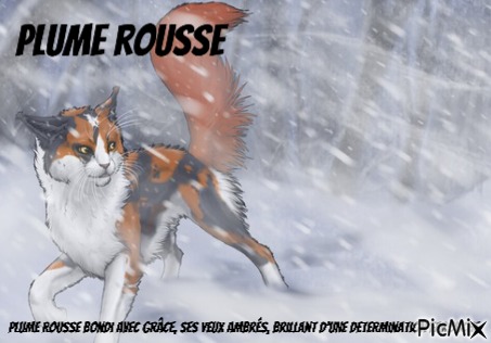 plume rousse, par plume rousse
