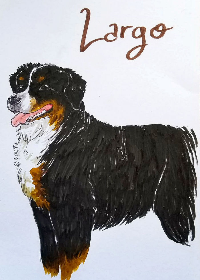Largo, par Milou