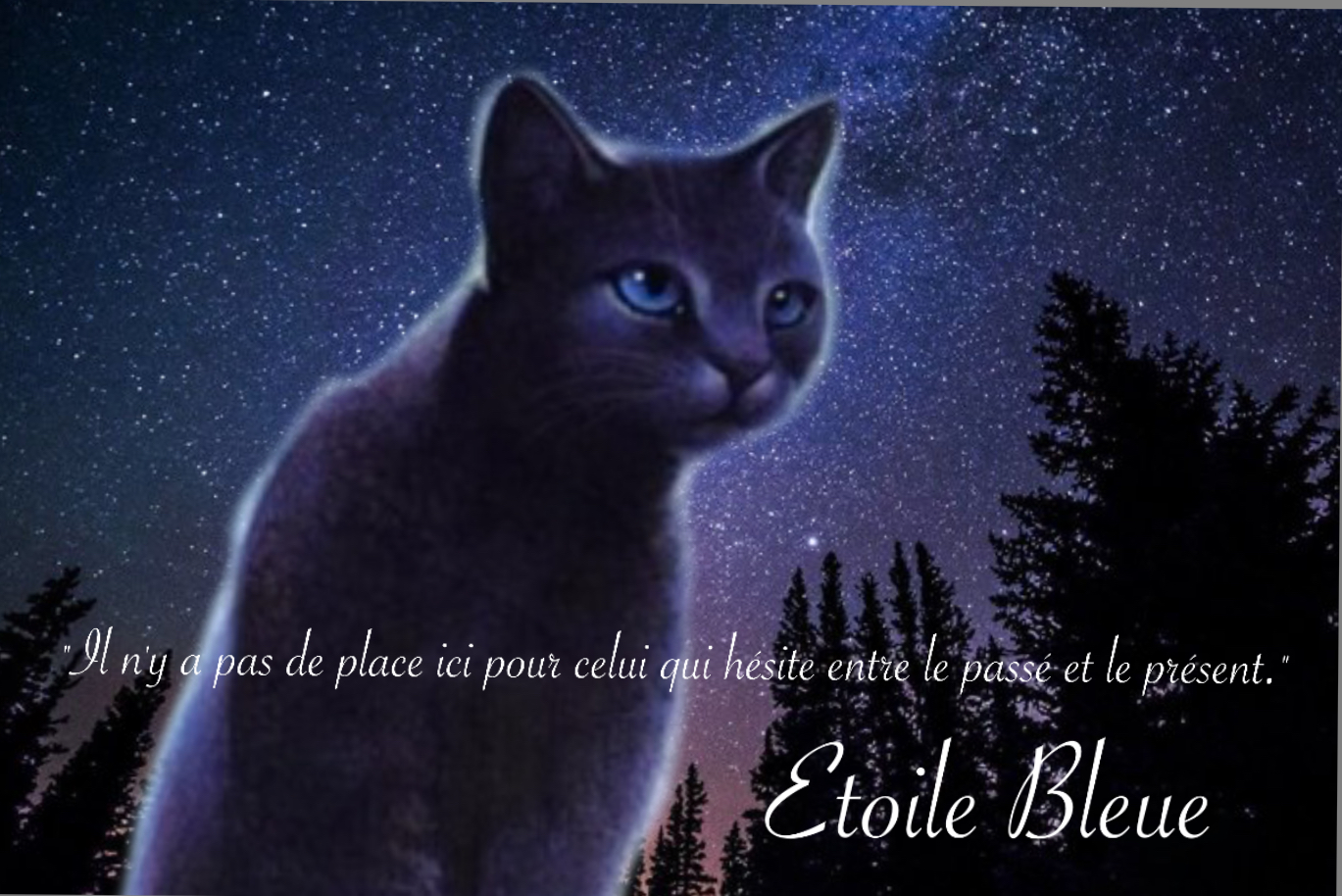 Étoile Bleue, par Potdefleurs