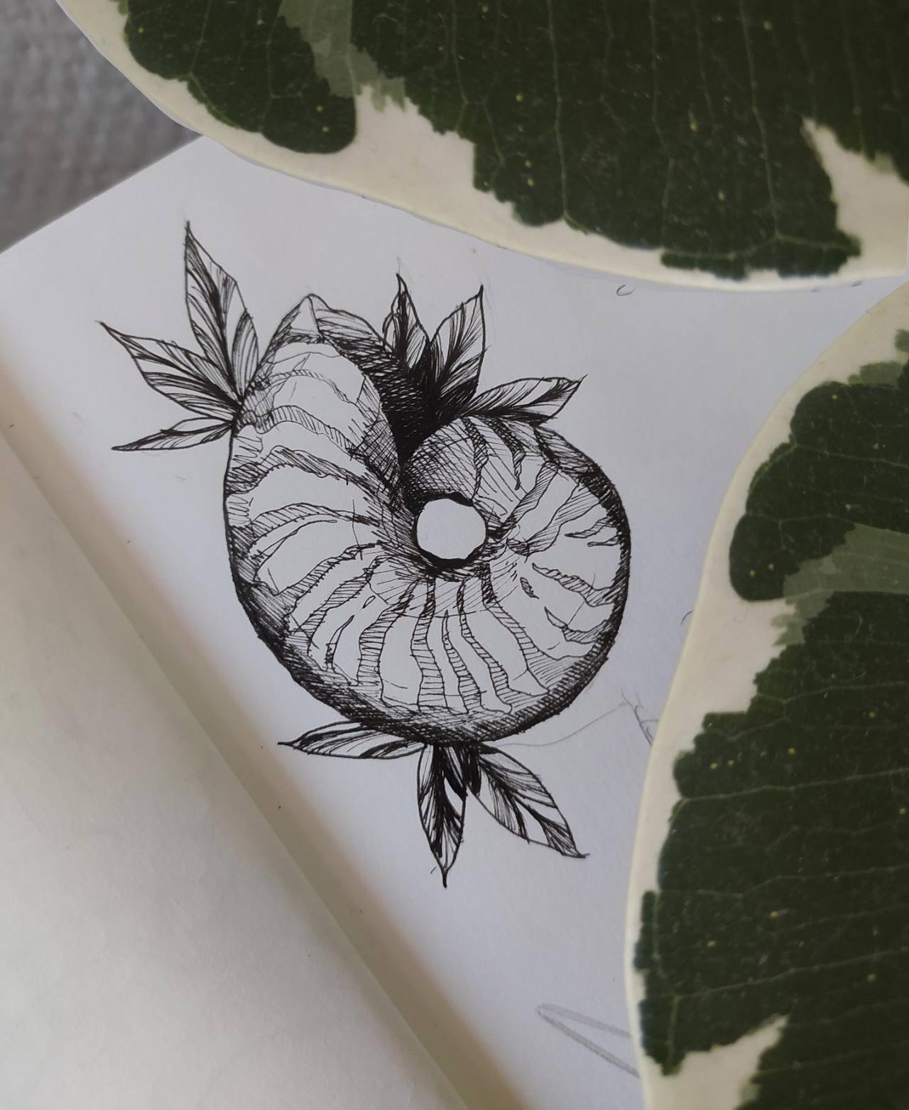 NAUTILE, par Virgoulin