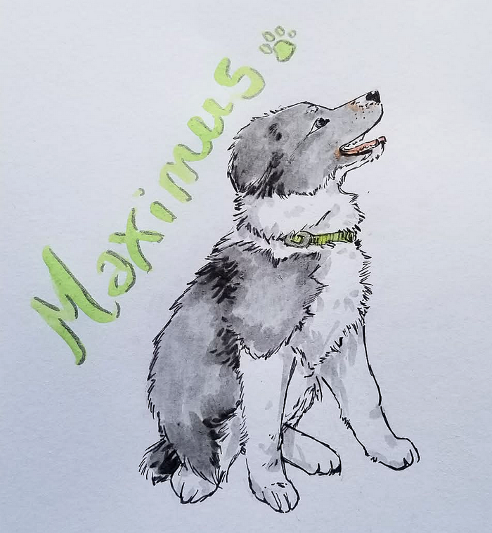 Maximus, par Milou