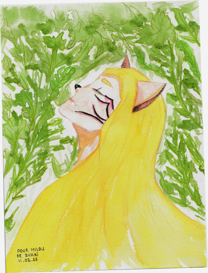 Sebala, par Zukki