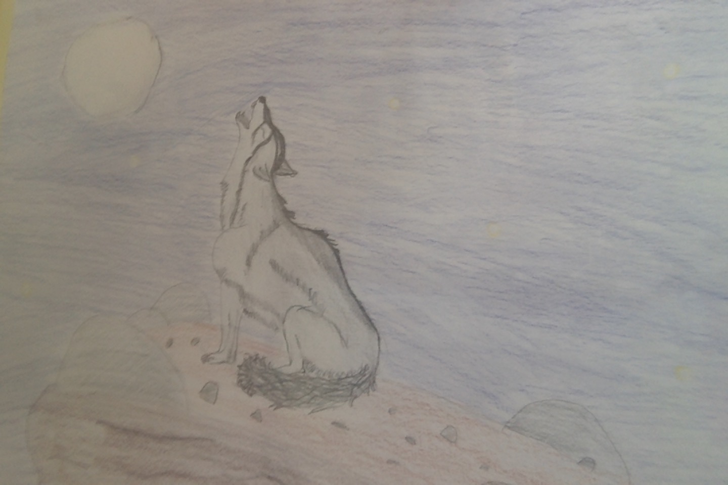 The wolf, par Saso