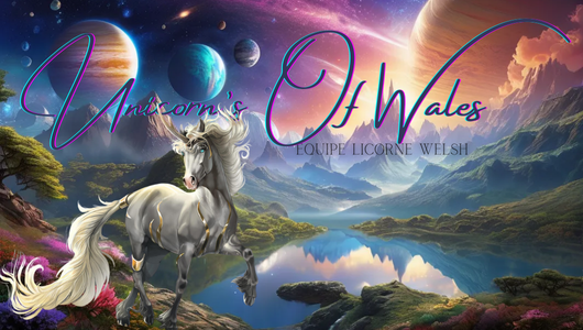 Fiche Welsh, par Onawa