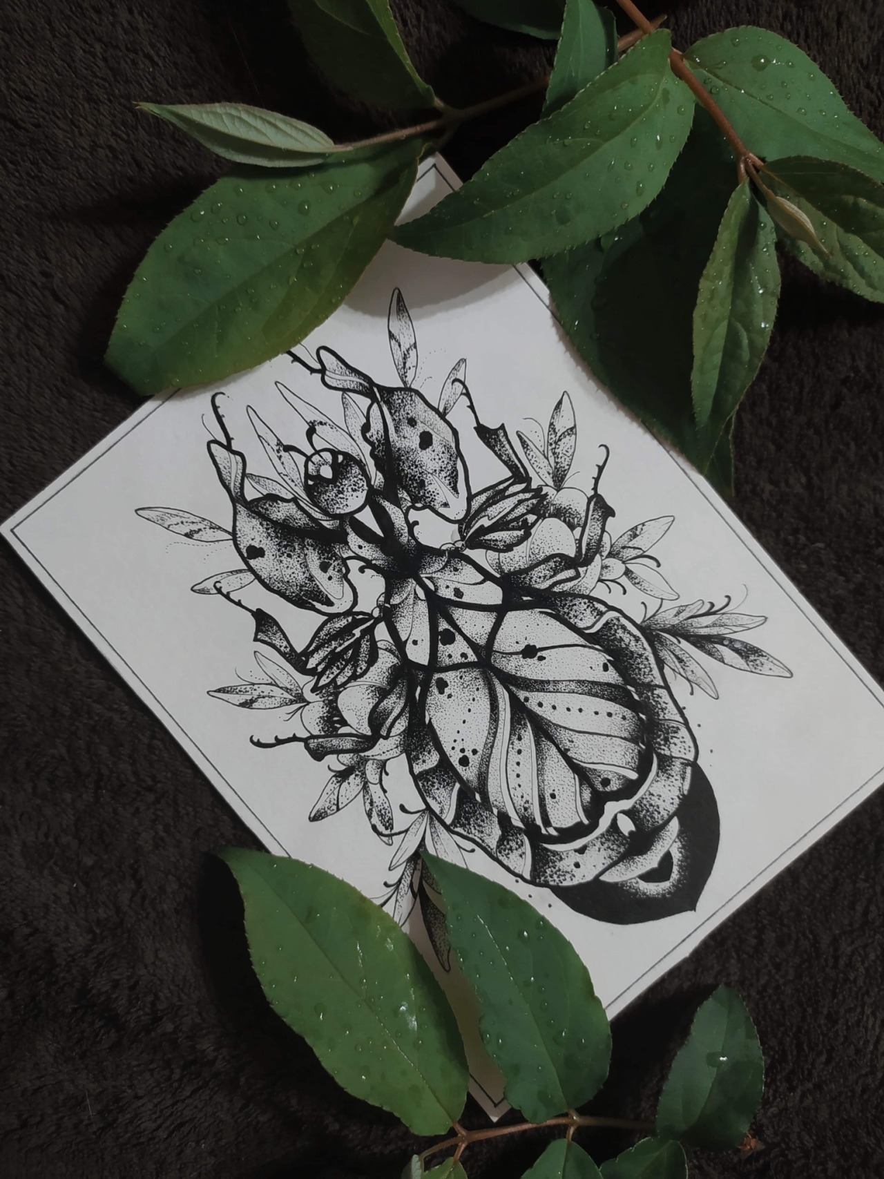 PHYLLIE GEANTE, par Virgoulin