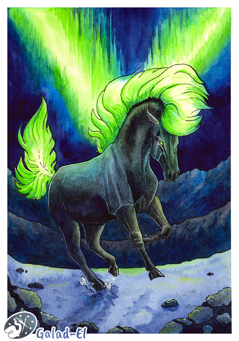 Cheval et l'Aurore, par Galad-El