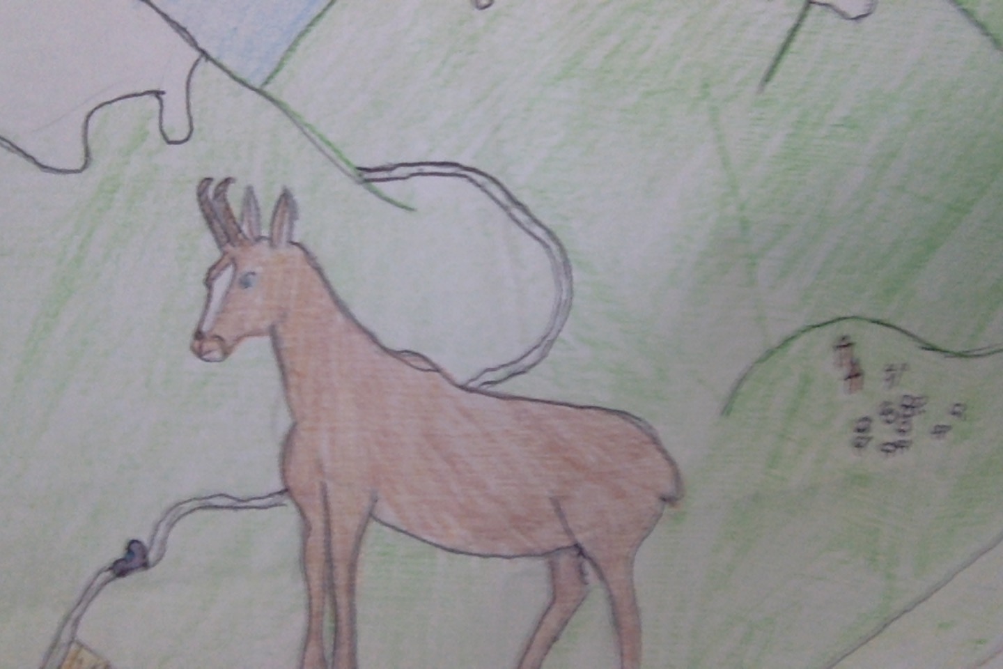 Chamois, par Saso