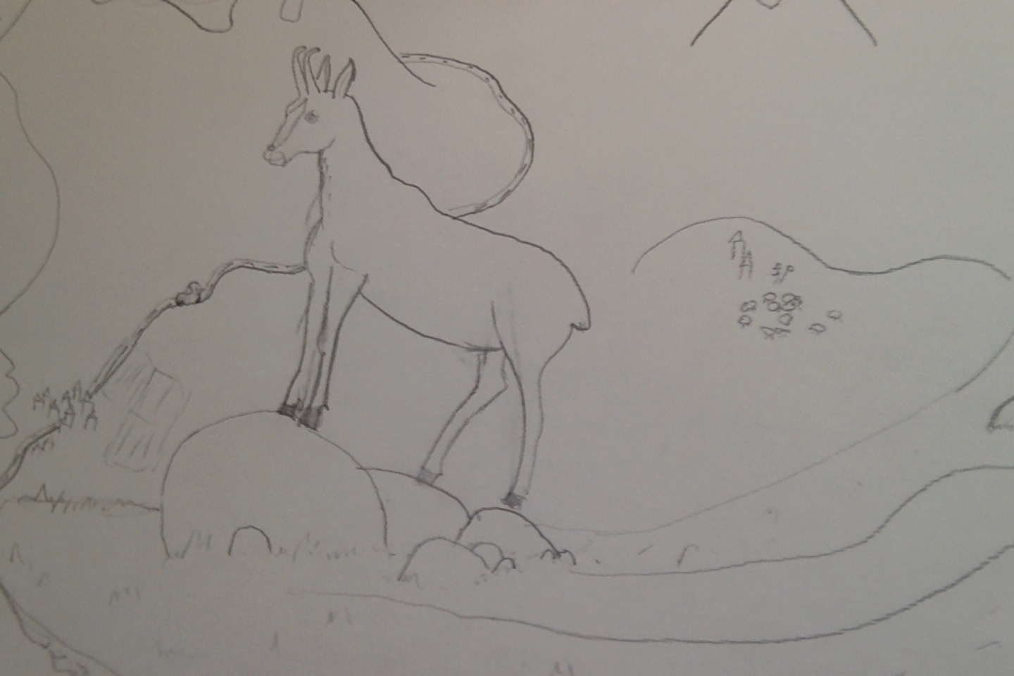 Chamois, par Saso
