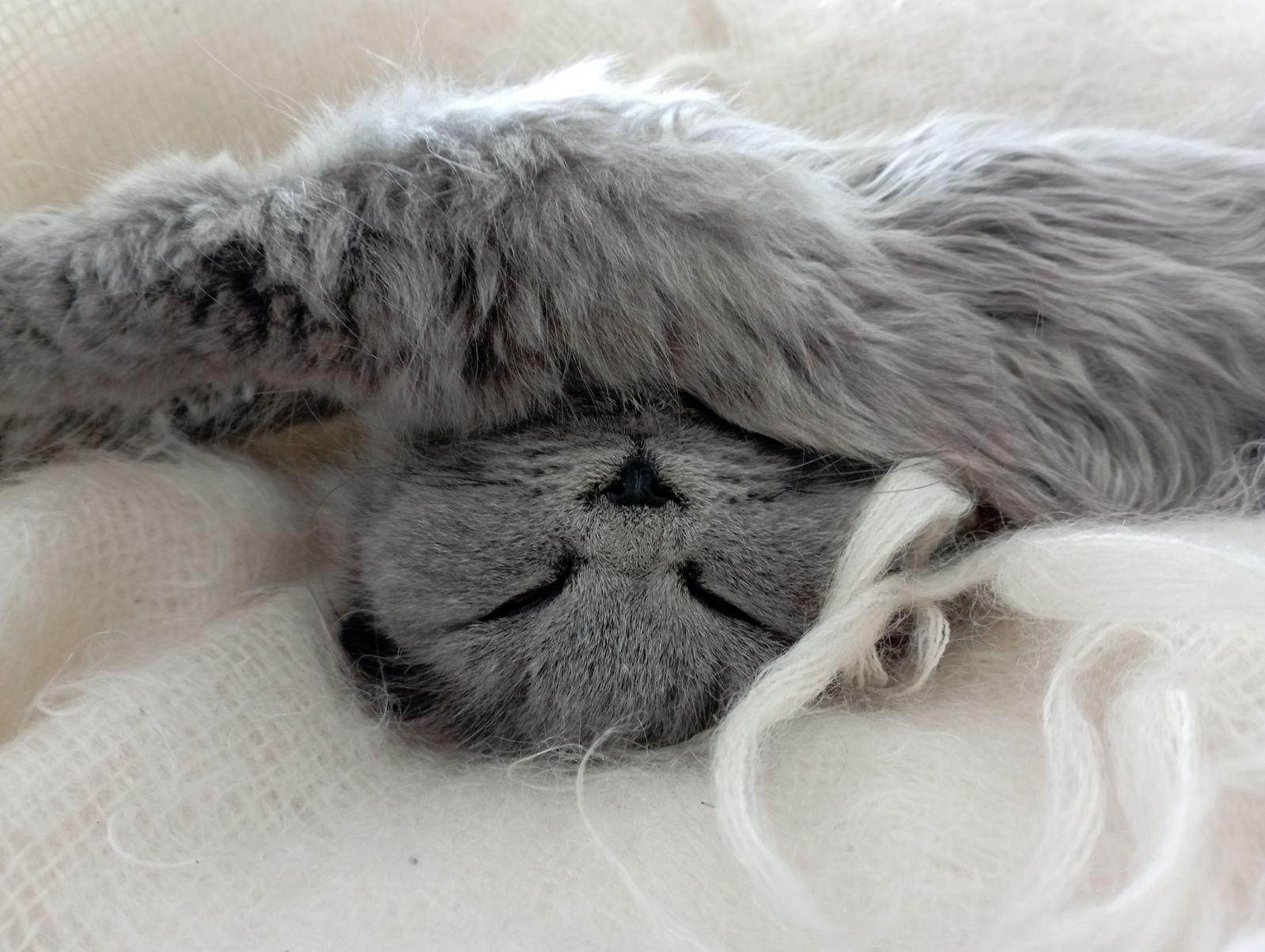 Chat, par Arcencieland