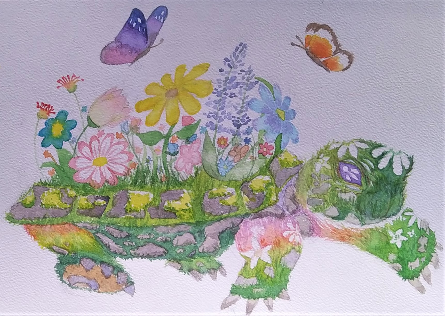 Tortue fleurie, par elile