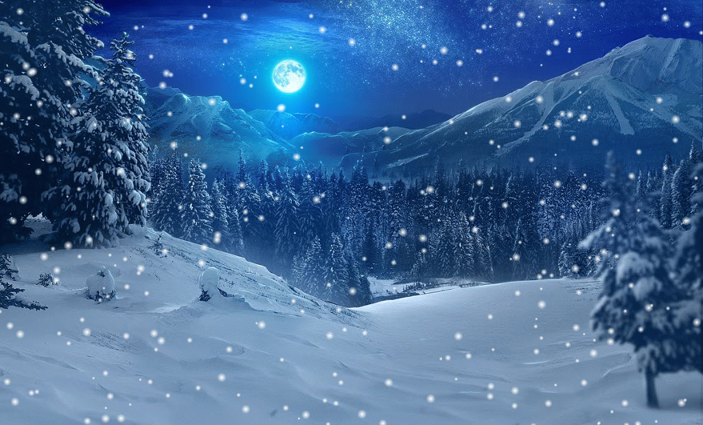 Tombe de la neige, par plume rousse