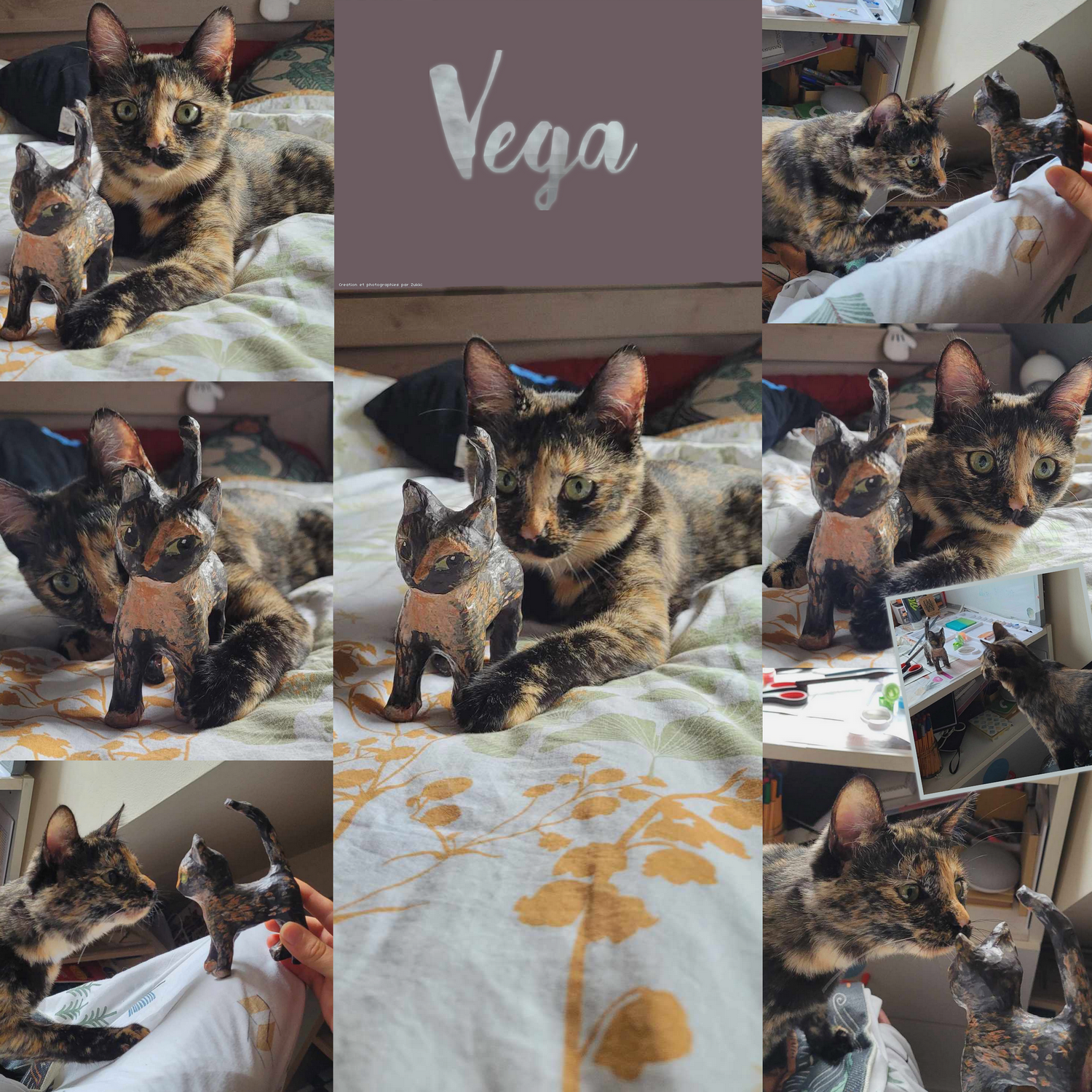 Vega - La Rencontre, par Zukki