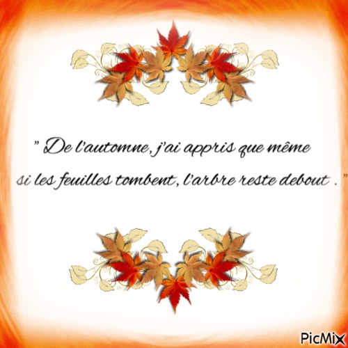 Cadeau pour Tempête d'automne, par Saso
