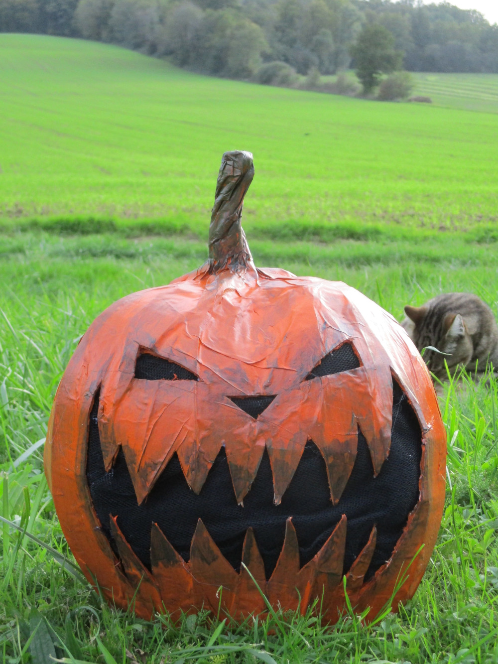Pumpkin King, par CHAUSSETTE