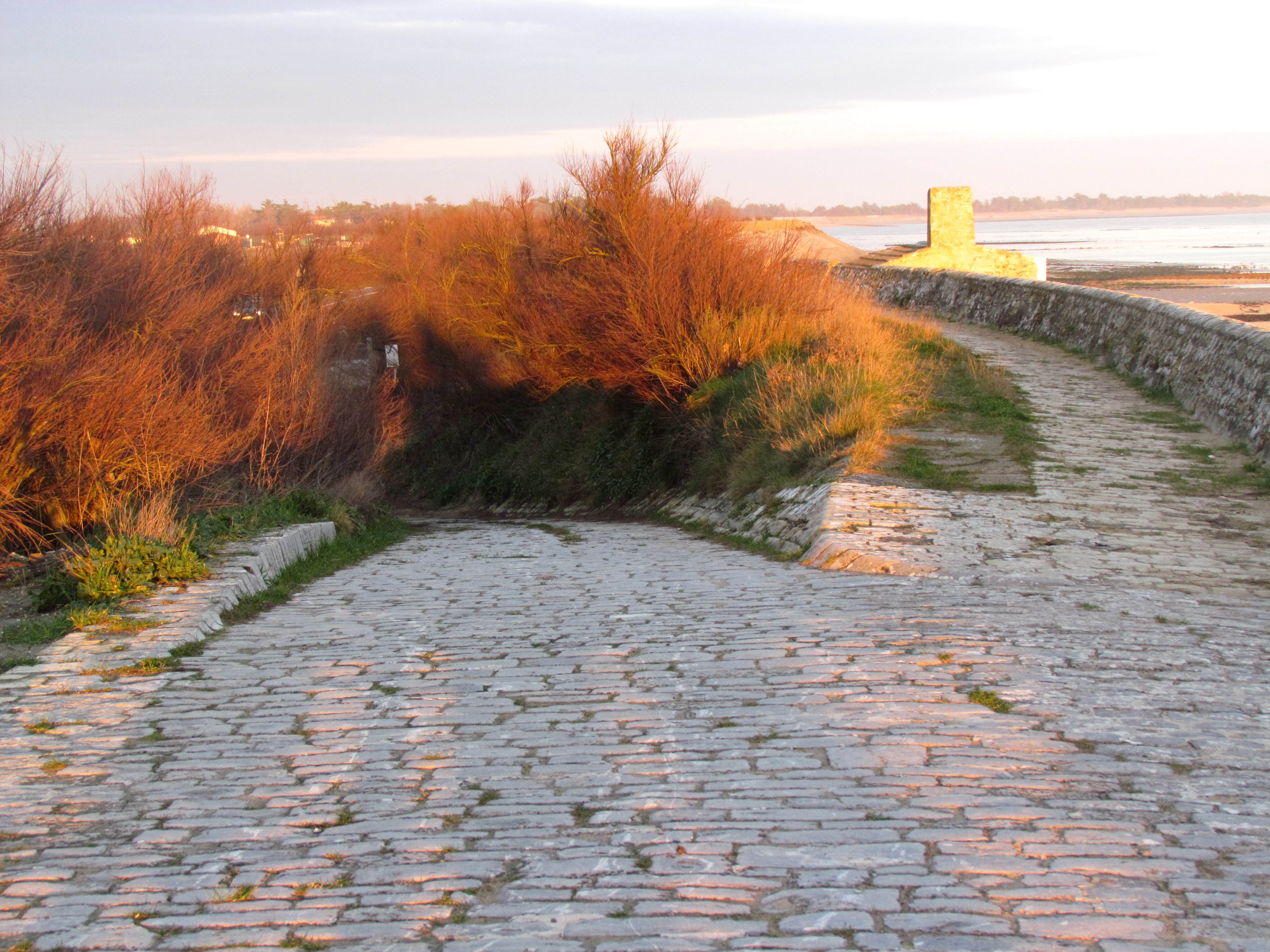 Soleil de Janvier en Ré, par Tamara