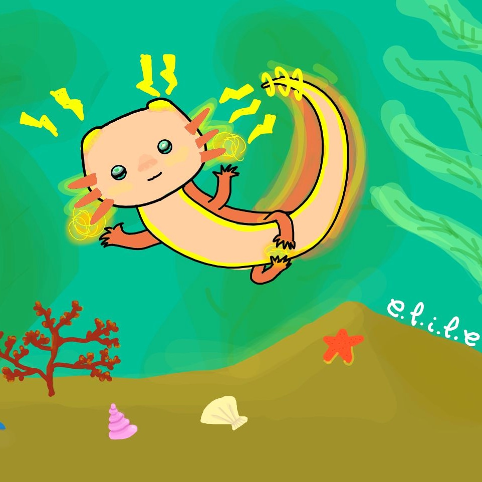 petit axolotl électrique, par elile
